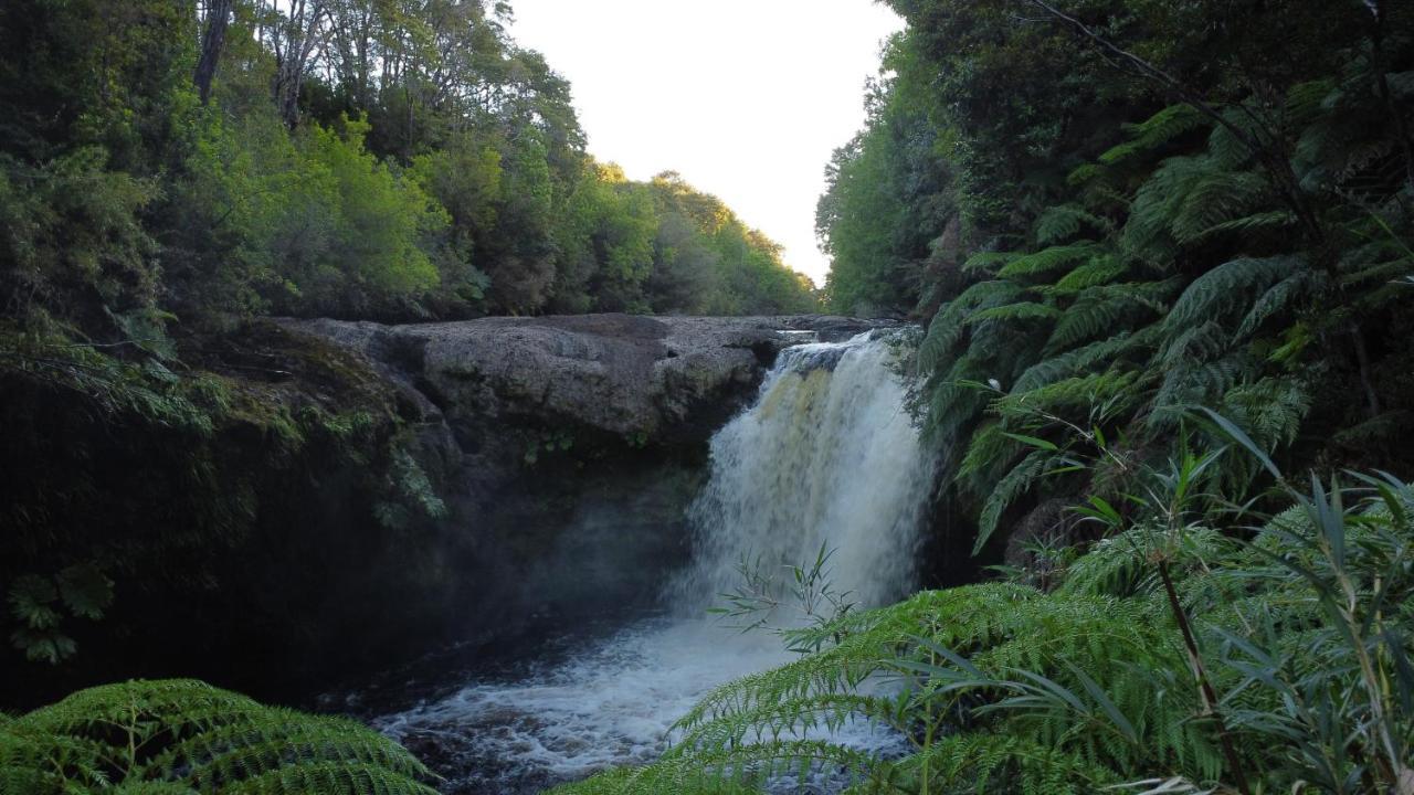 Lodge Parque Tepuhueico Castro Dış mekan fotoğraf