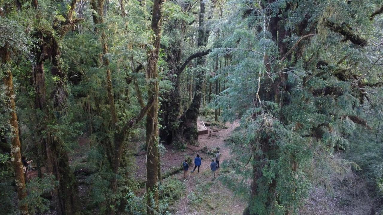 Lodge Parque Tepuhueico Castro Dış mekan fotoğraf