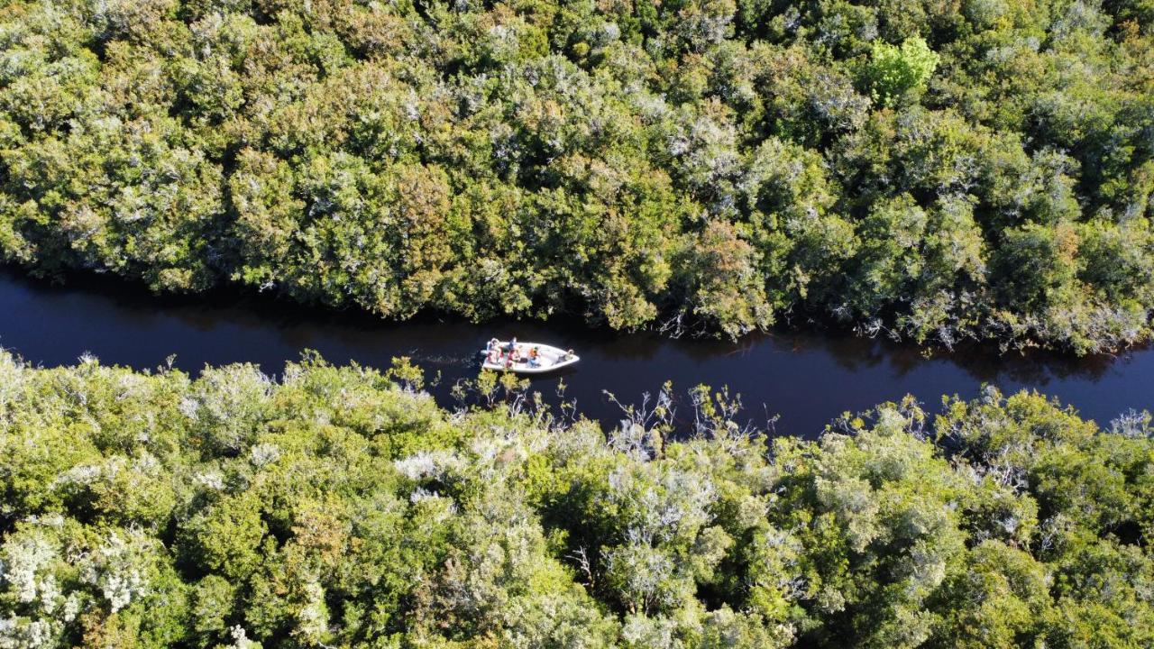 Lodge Parque Tepuhueico Castro Dış mekan fotoğraf