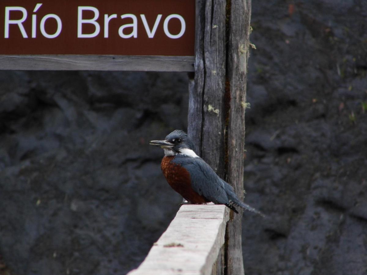 Lodge Parque Tepuhueico Castro Dış mekan fotoğraf