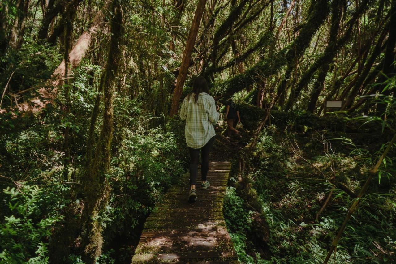 Lodge Parque Tepuhueico Castro Dış mekan fotoğraf