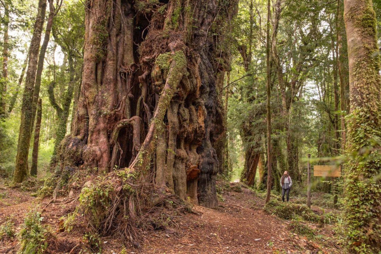 Lodge Parque Tepuhueico Castro Dış mekan fotoğraf