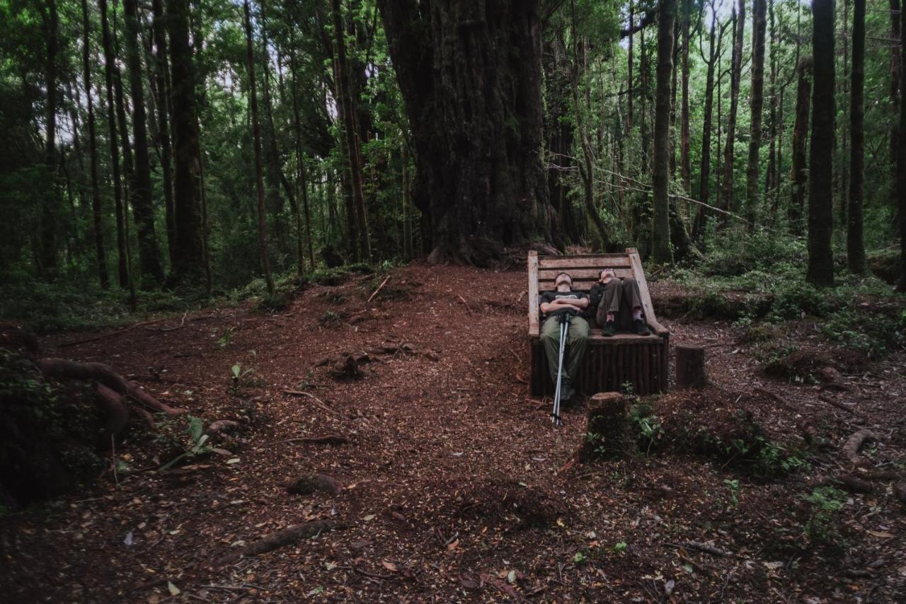 Lodge Parque Tepuhueico Castro Dış mekan fotoğraf