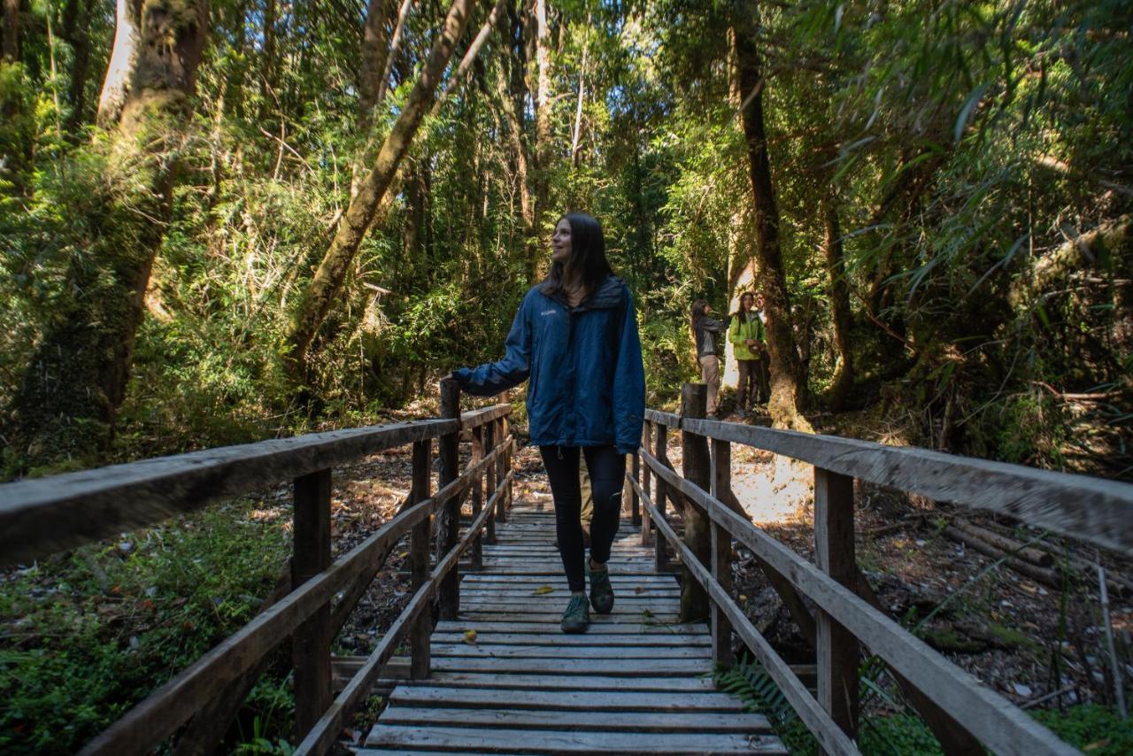 Lodge Parque Tepuhueico Castro Dış mekan fotoğraf