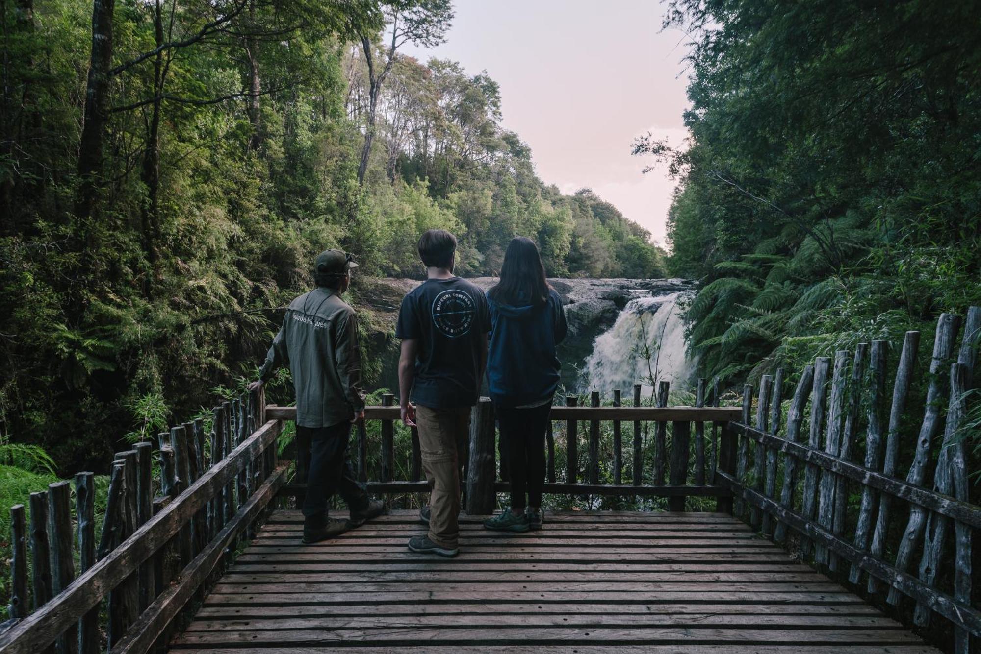 Lodge Parque Tepuhueico Castro Dış mekan fotoğraf