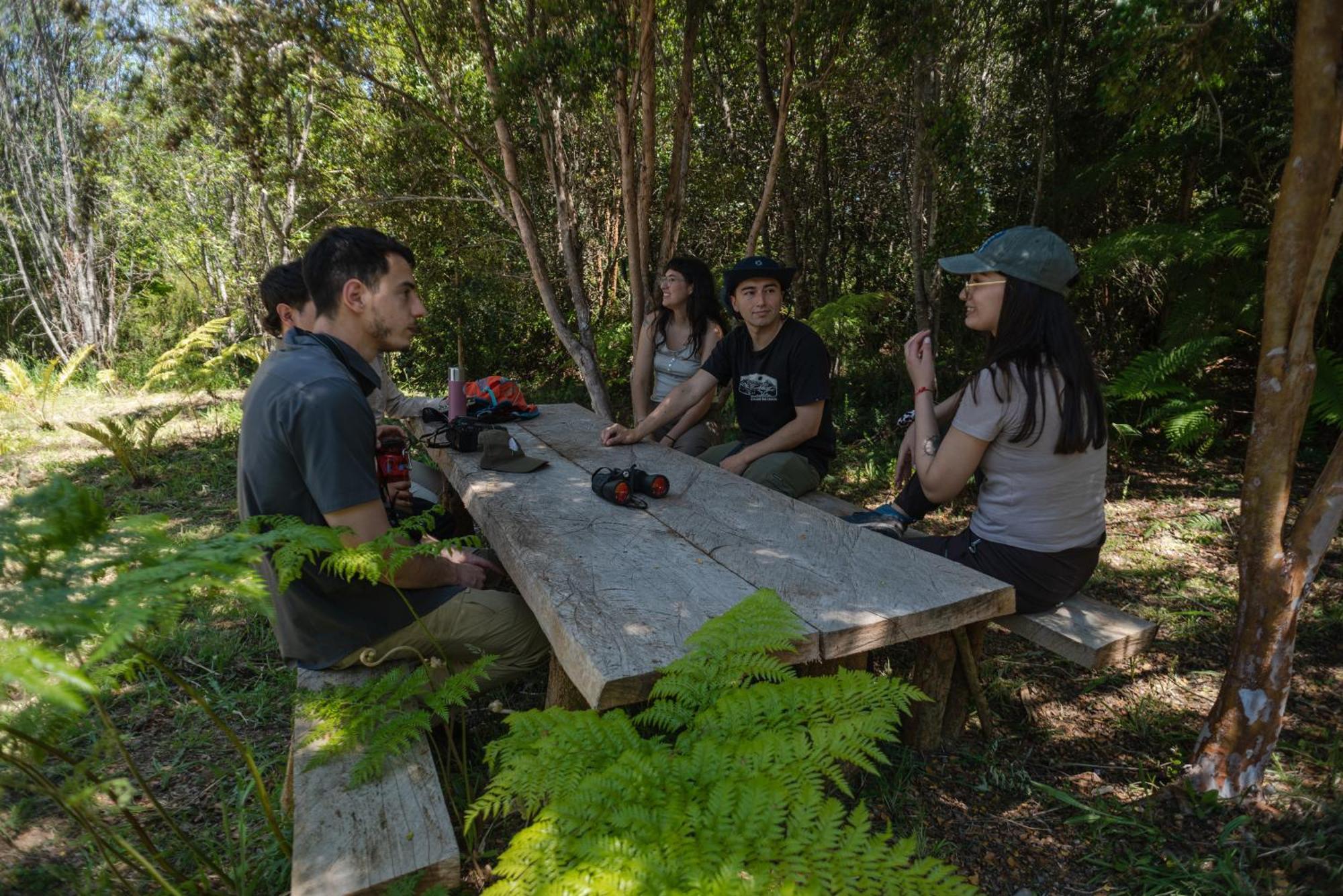 Lodge Parque Tepuhueico Castro Dış mekan fotoğraf